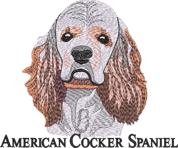 American Cocker Spaniel