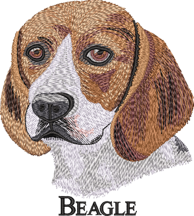 Beagle