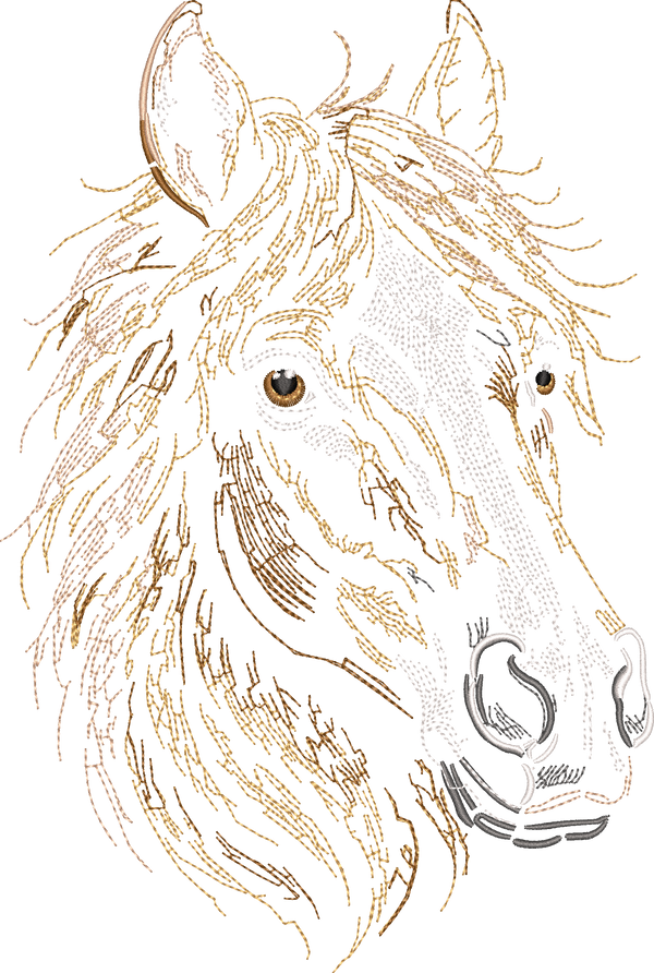 Horse Head Run