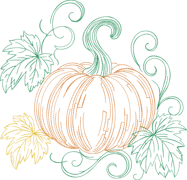 Pumpkin Full Front Runline