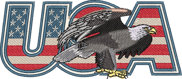 Usa Eagle2