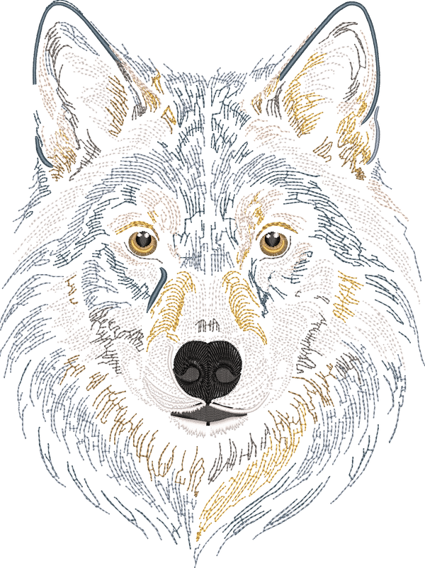 Wolf Head Run