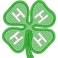 4h