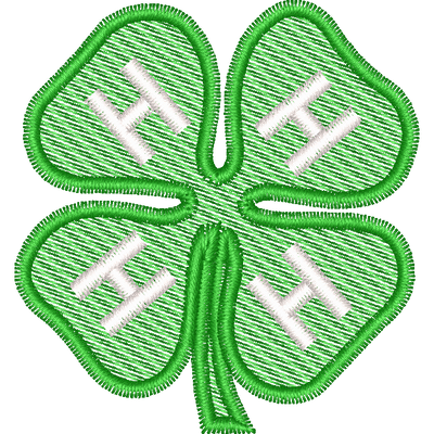 4H