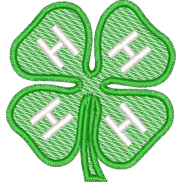 4h