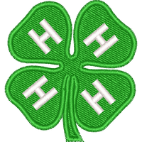 4h2