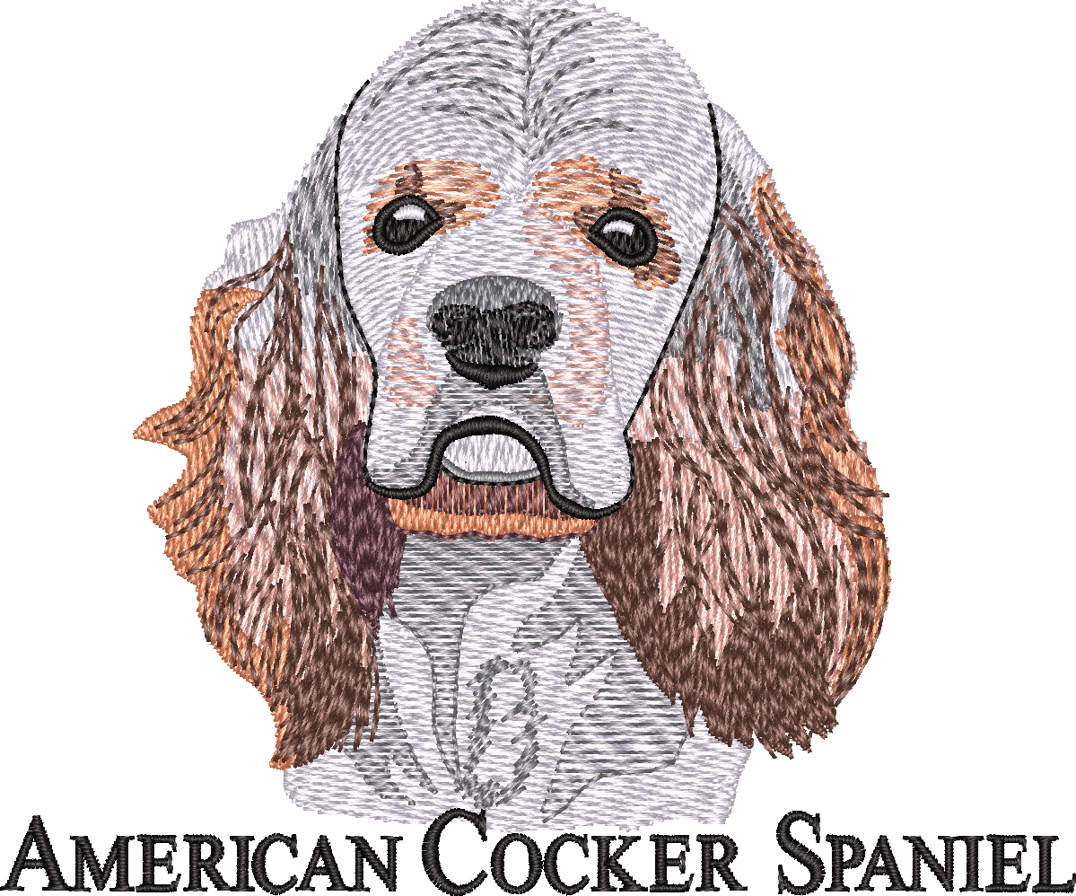 American Cocker Spaniel
