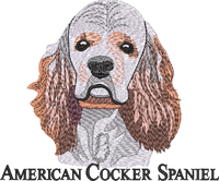 AMERICAN COCKER SPANIEL