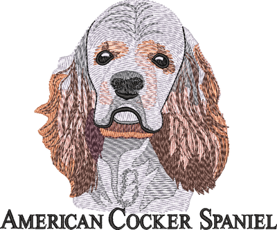 American Cocker Spaniel