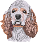 AMERICAN COCKER SPANIEL No Let