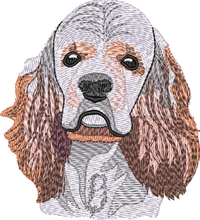 AMERICAN COCKER SPANIEL No Let