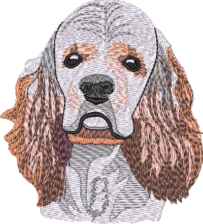 American Cocker Spaniel No Let