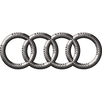 AUDI3