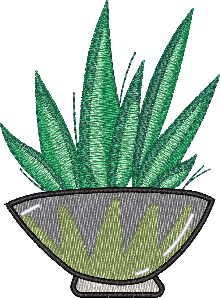 Aloe Vera 2
