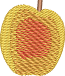 Apricot
