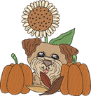 Autumn Dog