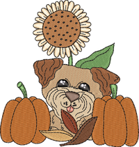 Autumn Dog