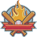 BASEBALL BANNER