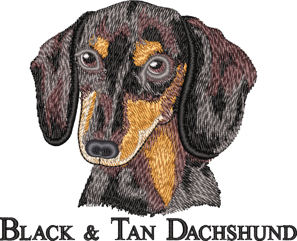 BLACK & TAN DACHSHUND