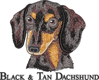 BLACK & TAN DACHSHUND