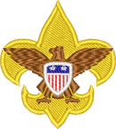 BSA
