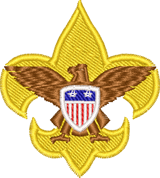 BSA