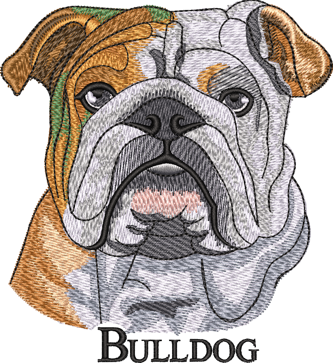 Bulldog