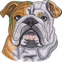 BULLDOG No Let