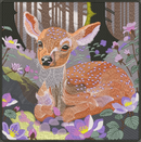 Baby Deer