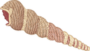 Beach7