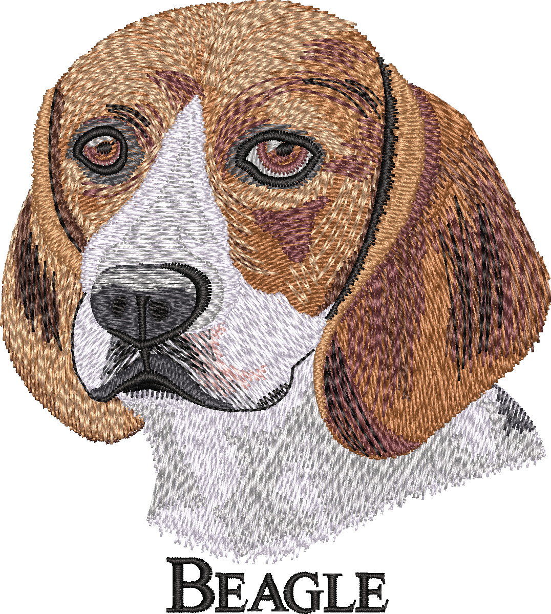 Beagle