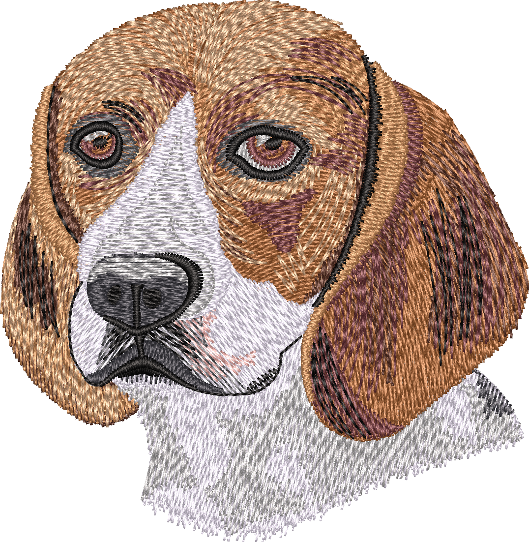 Beagle No Let
