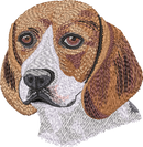 Beagle No Let