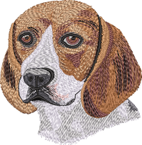 Beagle No Let