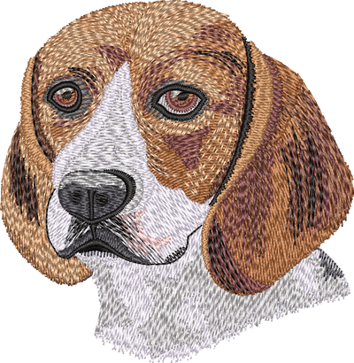 Beagle No Let