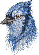 BlueJay Bird Head Threads