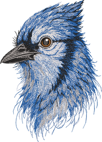 BlueJay Bird Head Threads