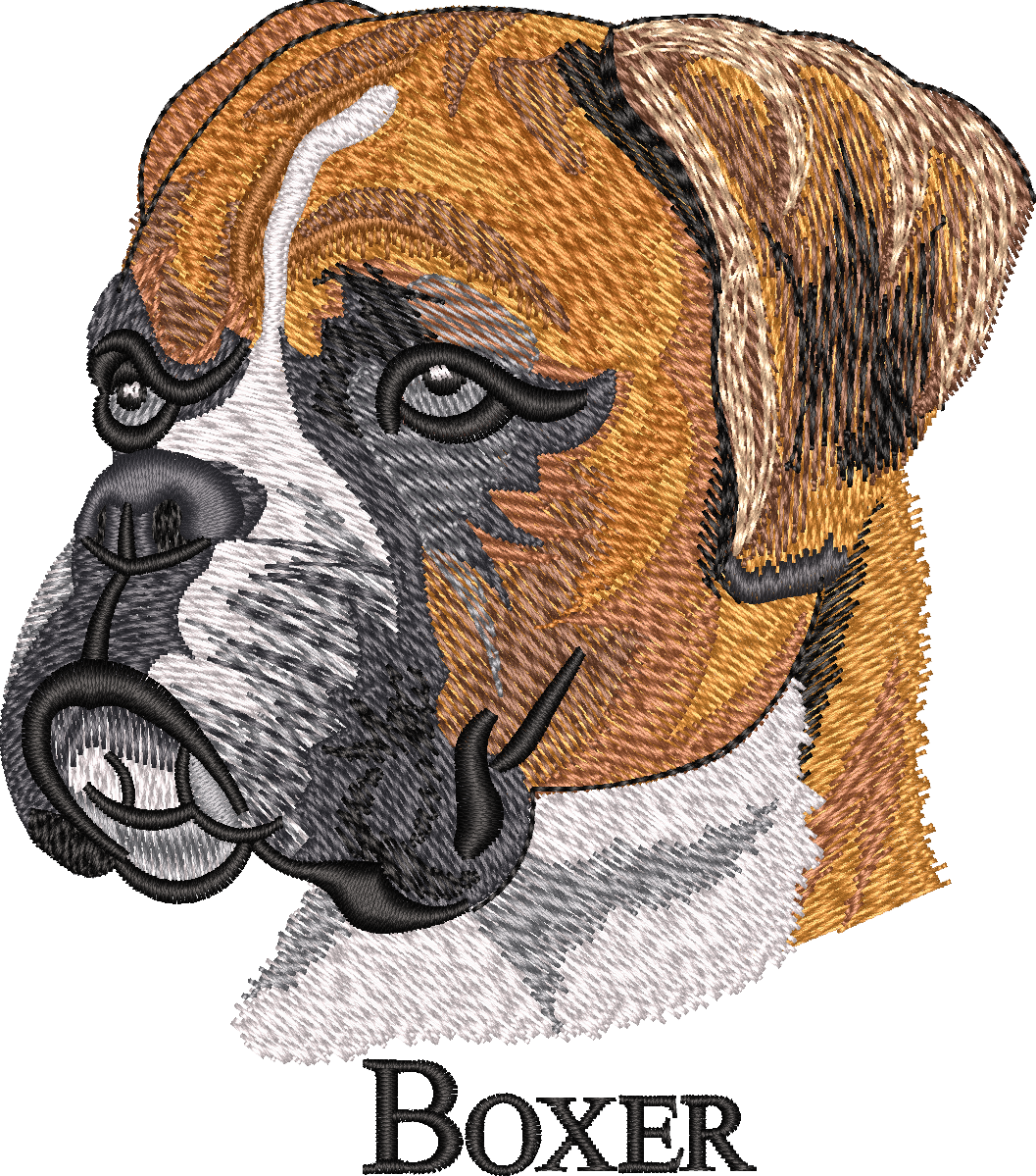 Boxer