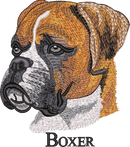 Boxer