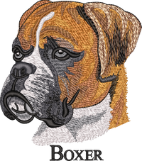 Boxer