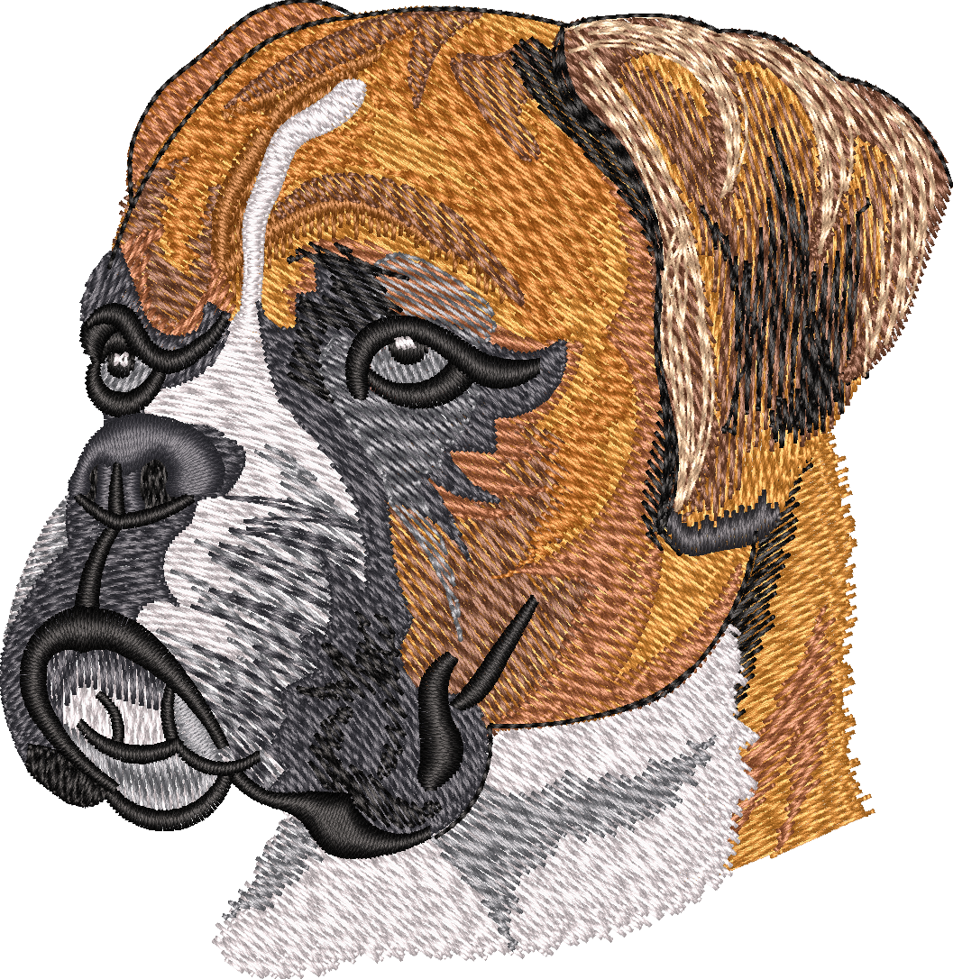 Boxer No Let