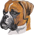 Boxer No Let