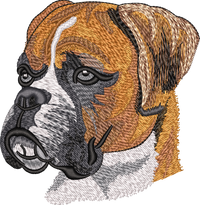 Boxer No Let