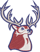 Buck