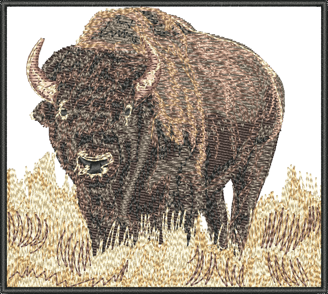 Buffalo Montana