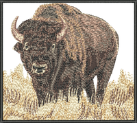 Buffalo Montana embroidery design preview