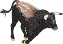 Bull 6