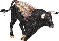 Bull 6