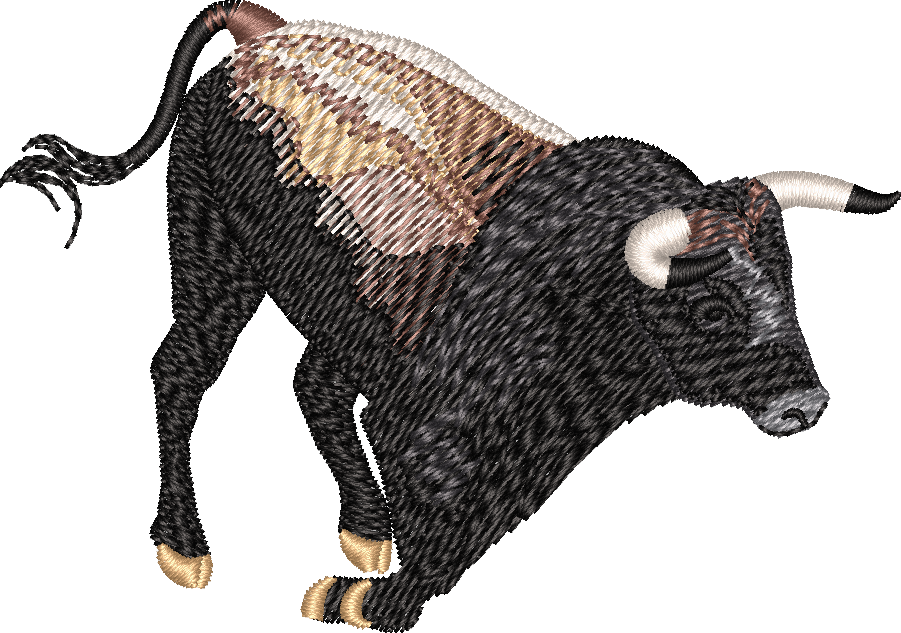 Bull 6