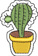 Cactus 2
